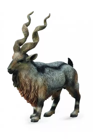 Rogacz Tadjik Markhor