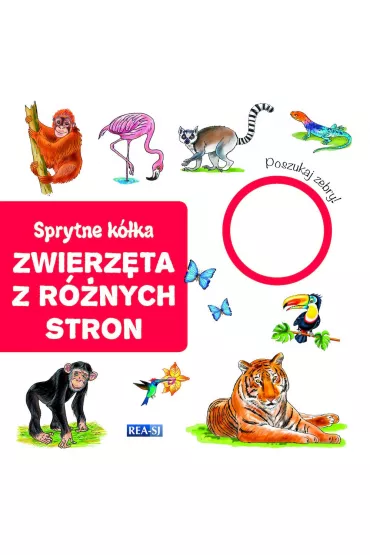 Zwierz�ta z r�nych stron. Sprytne k�ka