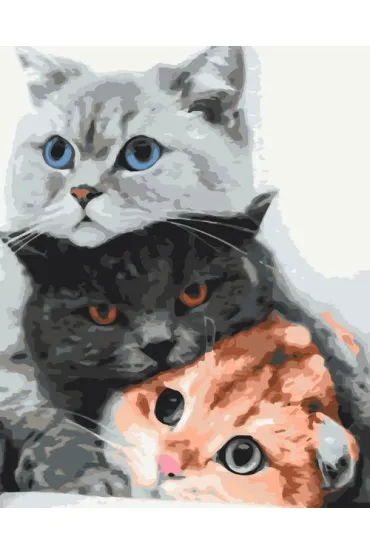 Twoje Hobby Malowanie po numerach - K�aczaste �obuziaki 30x40cm