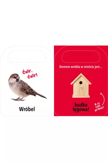 Otw�rz i zobacz! Domy zwierz�t