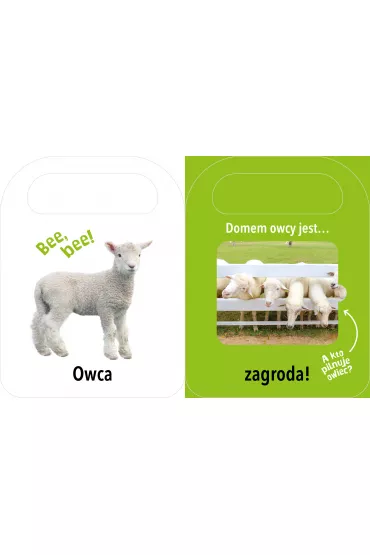 Otw�rz i zobacz! Domy zwierz�t