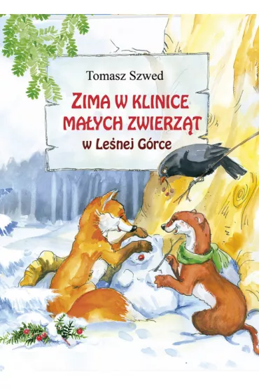 Zima w klinice Maych Zwierzt w Lenej Grce - Tomasz Szwed