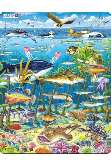 Puzzle Uk�adanka Larsen Maxi Marine life 60el Tactic