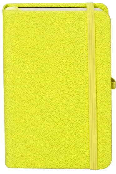 Antra Notes A6 Secesja kratka 192 kartki