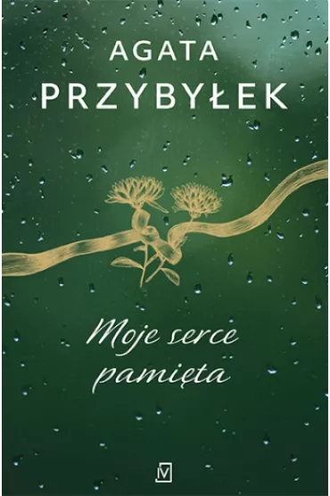 Moje serce pami�ta. Detektyw Rafa� Kamie�ski. Tom 4 - Agata Przyby�ek