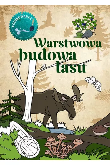 Warstwowa budowa lasu. Kolorowanka - Katarzyna Kopiec-Sekieta