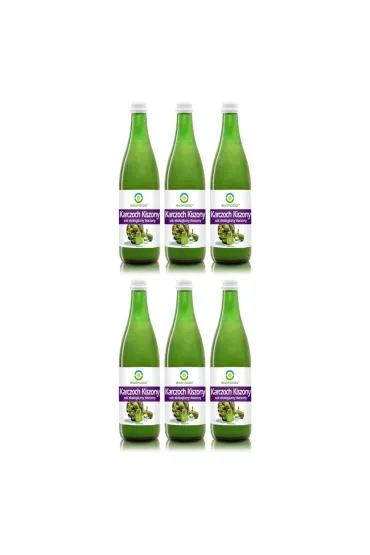 Bio Food Karczoch kiszony sok ekologiczny t�oczony Zestaw 6 x 500 ml Bio