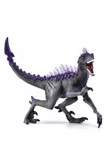 Raptor Cienia
