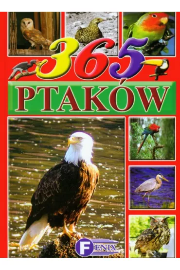 365 ptak�w
