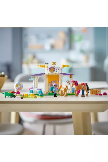 LEGO Friends Szkolenie koni 41746