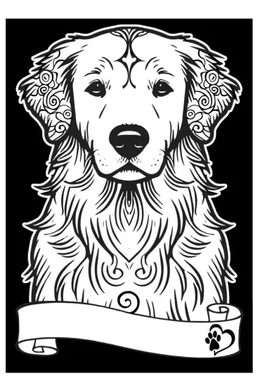 Kolorowanka welwetowa A4 Golden retriever
