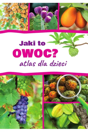 Jaki to owoc? Atlas dla dzieci - Aleksandra Halarewicz
