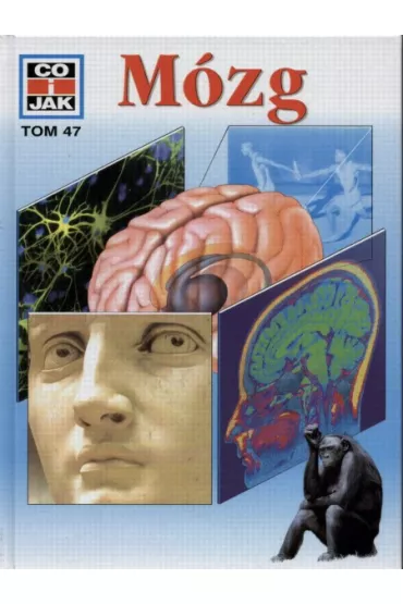 M�zg - Monika Rosiger