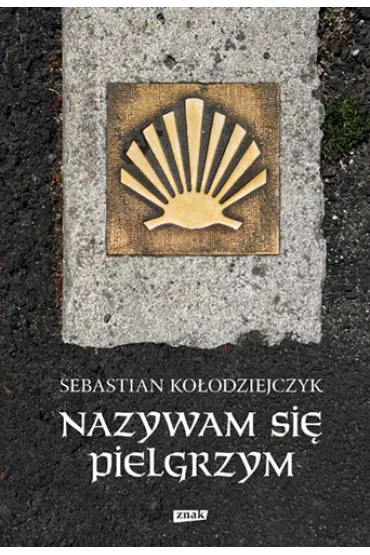 Nazywam si� Pielgrzym - Sebastian Ko�odziejczyk