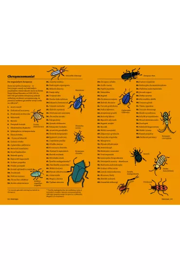 Britannica. Faktomania - Andrew  Pettie