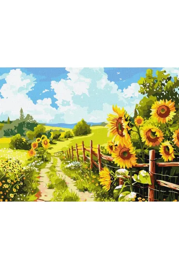 Ideyka Malowanie po numerach - �cie�ka w�r�d 30x40cm
