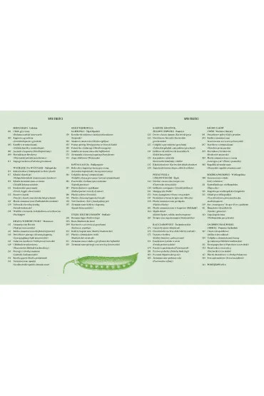 Ro�linna kuchnia regionalna - Pawe� Ochman