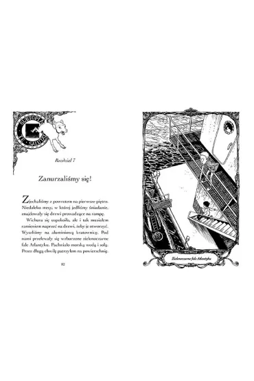 Pod szklanym niebem. Dawid i Larisa. Tom 5 - Martin Widmark