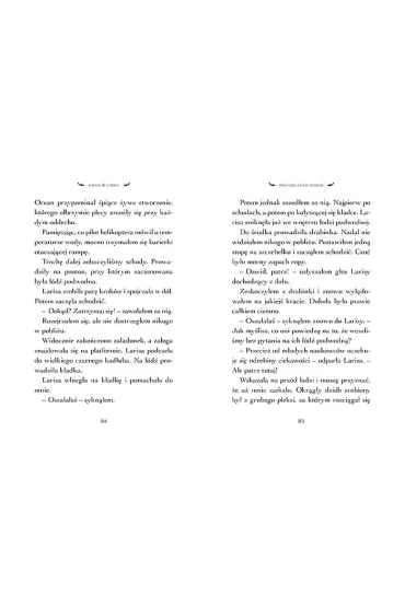 Pod szklanym niebem. Dawid i Larisa. Tom 5 - Martin Widmark