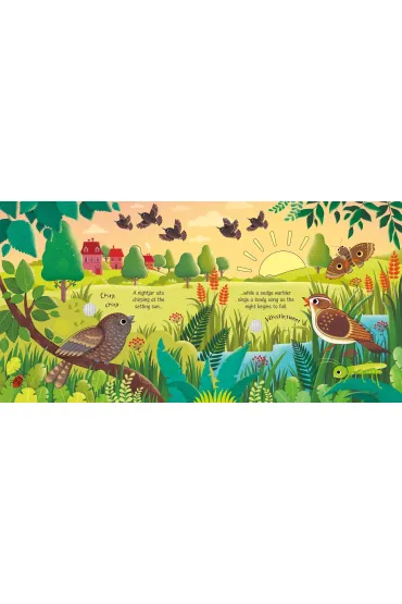 Bird Sounds wer. angielska - Sam Taplin