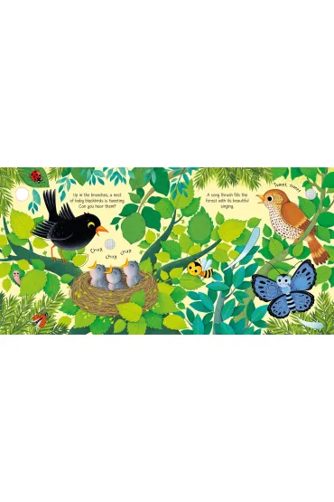 Bird Sounds wer. angielska - Sam Taplin