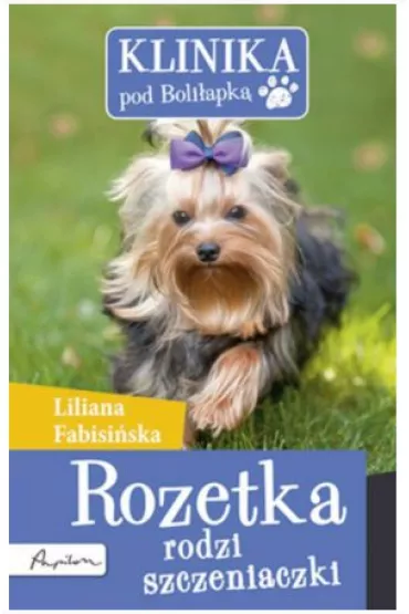 KLINIKA POD BOLILAPKA ROZETKA RODZI SZCZENIAKI OM-PAPILON - Liliana Fabisi�ska