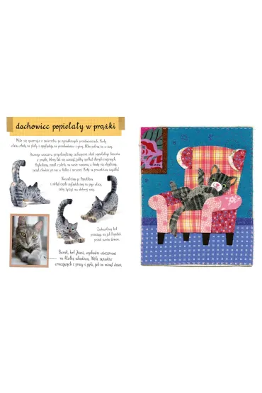 Ma�y atlas kot�w (i kociak�w) Ewy i Paw�a Pawlak�w - Ewa Kozyra-Pawlak, Pawe� Pawlak