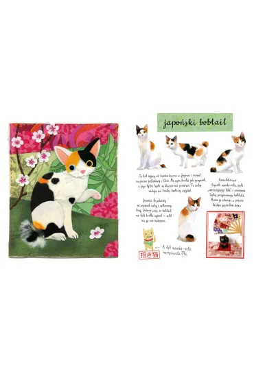 Ma�y atlas kot�w (i kociak�w) Ewy i Paw�a Pawlak�w - Ewa Kozyra-Pawlak, Pawe� Pawlak
