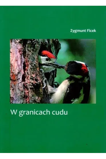 W granicach cudu - Zygmunt Ficek