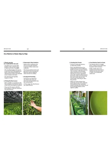 Matcha at Home - Jenki