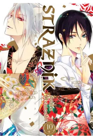 Stra�nik Domu Momochi. Tom 10 - Aya Shouoto