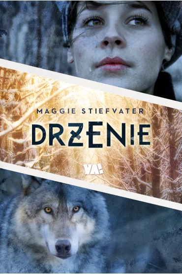 Dr�enie. Wilko�aki z Mercy Falls. Tom 1 - Maggie Stiefvater