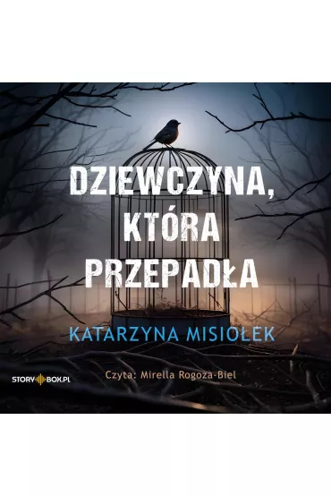 Audiobook CD MP3 Dziewczyna, kt�ra przepad�a - Katarzyna Misio�ek