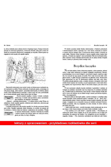 Dzieci kapitana granta lektura z opracowaniem - Juliusz Verne