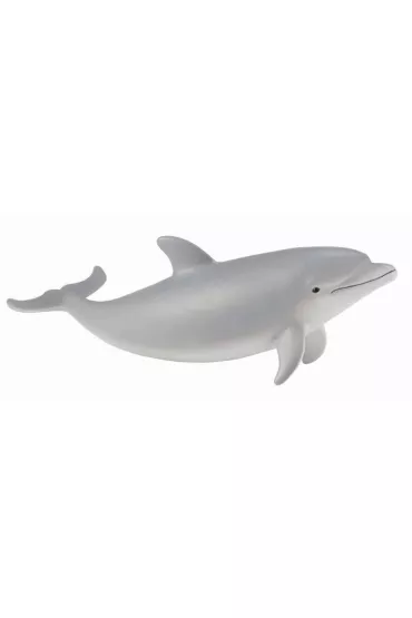 Delfin butlonosy m�ody