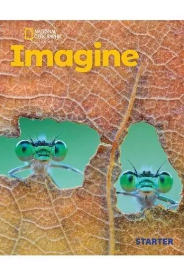 Imagine. Starter. Flashcards - Gregg  Schroeder