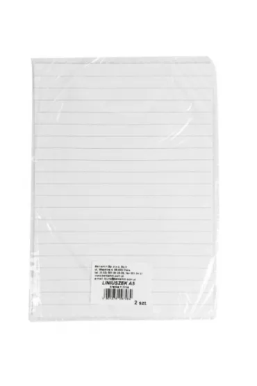 Beniamin Liniuszek A5 kratka, linia 60 kartek 2 szt.