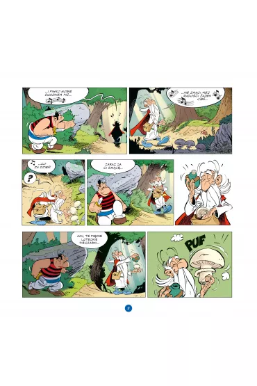Idefiks i druid. Idefiks i Nieugi�ci. Tom 5 - Matthieu Choquet, Philippe Fenech