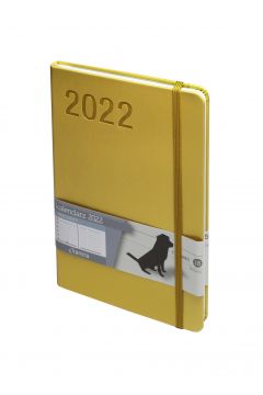 Kalendarz 2022 Minimalizm A5 zoty TNS
