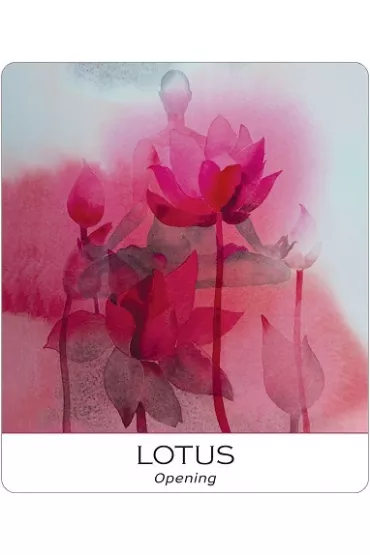 Nature & Soul Yoga Wisdom Cards - Alison  DeNicola