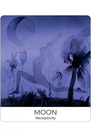 Nature & Soul Yoga Wisdom Cards - Alison  DeNicola