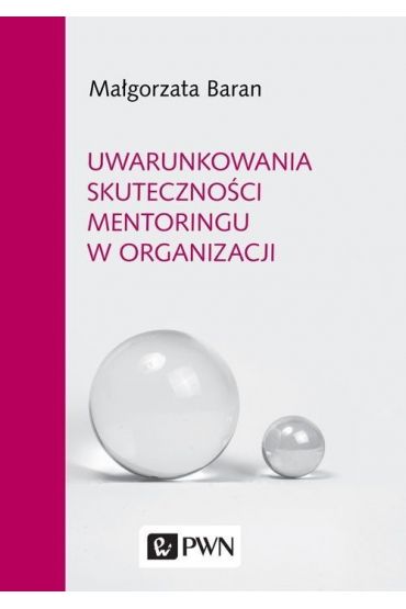 Uwarunkowania skuteczności mentoringu w organizacji