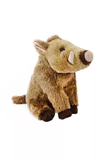 Dzik euroazjatycki 23cm Beppe