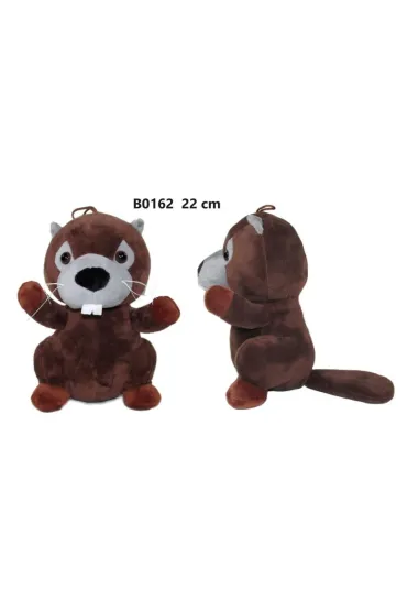 B�br 22cm Sun-Day