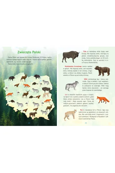 Atlas Polski dla dzieci - Karolina Wolszczak