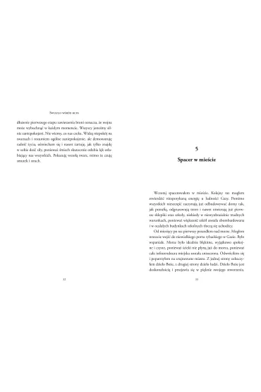 �wiat�o w�r�d ruin. Wstrz�saj�ce �wiadectwo proboszcza z Gazy - Gabriel  Romanelli, Guillaume de Dieuleveult