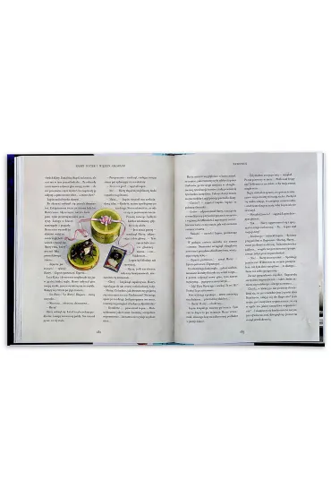 Harry Potter i wi�zie� Azkabanu (wydanie ilustrowane) - Joanne Kathleen Rowling