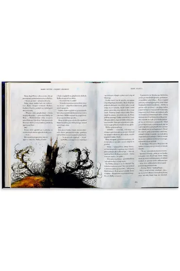Harry Potter i wi�zie� Azkabanu (wydanie ilustrowane) - Joanne Kathleen Rowling