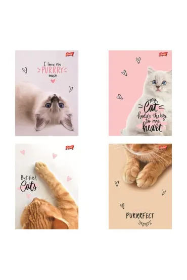 St. Majewski Zeszyt A5 60 kartek linia. Ok�adka laminowana lakier miejscowy UV 70 g/m2. Purrfect Moments