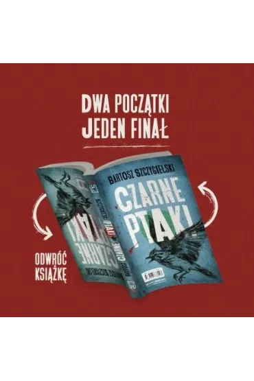 Czarne ptaki - Bartosz Szczygielski